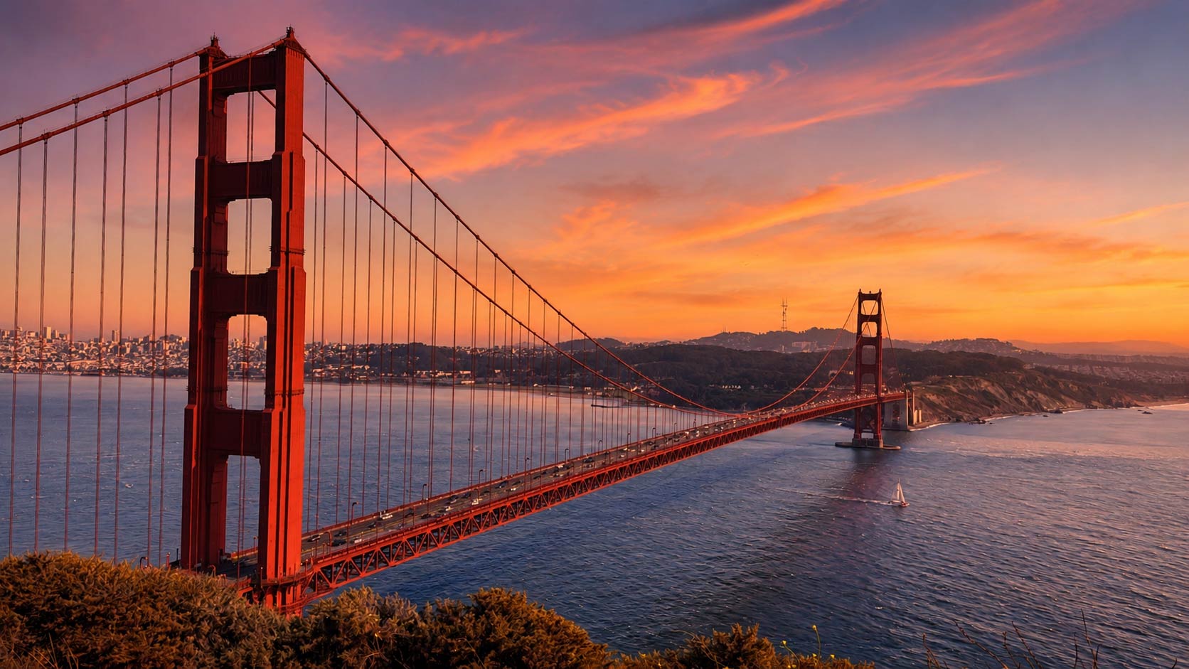 Private charter cruise in San Francisco Bay