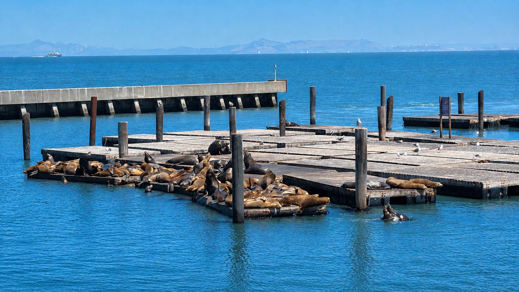 San Francisco Bay cruise views